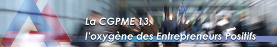 CGMPE13